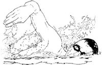 IWT019C.JPG