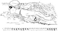 IWT018B.JPG