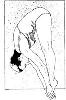 IWT015B.JPG