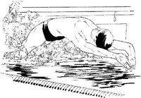 IWT014A.JPG