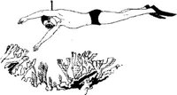 IOD018A.JPG
