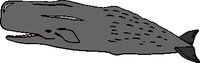 WHALE.WMF