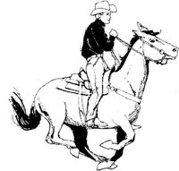 IOD013C.JPG