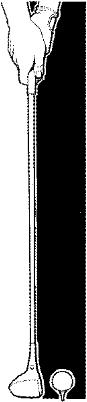 IHD021C.JPG