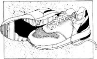 IFN032D.JPG
