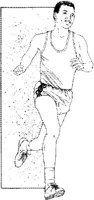 IFN031C.JPG