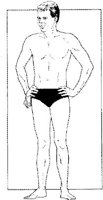 IFN030C.JPG