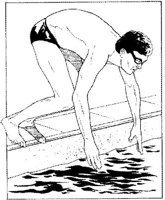 IFN029A.JPG