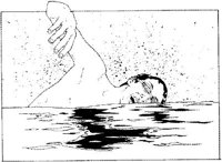 IFN028A.JPG