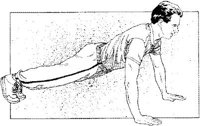 IFN026C.JPG