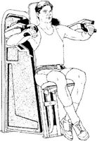 IFN008B.JPG