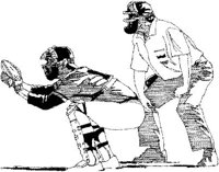 IBS016C.JPG