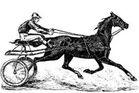 EAC055V.JPG