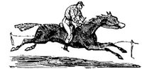 EAC055O.JPG
