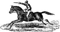 EAC054D.JPG