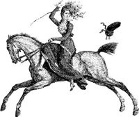 WMN106B.JPG
