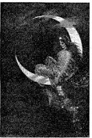 WMN101A.JPG