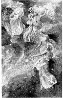 WMN095A.JPG