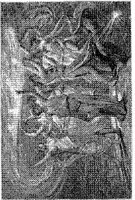 WMN069A.JPG