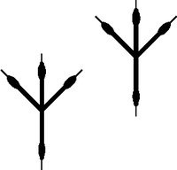 BIRD.WMF