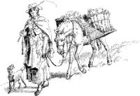 OES015A.JPG