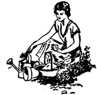 LAC104C.JPG
