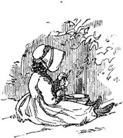 HVS019E.JPG