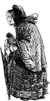HVS013L.JPG