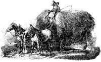 HDC119I.JPG
