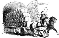 HDC119H.JPG