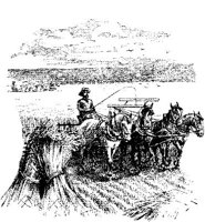 HDC119D.JPG
