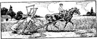 HDC111B.JPG