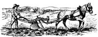 EAC007R.JPG