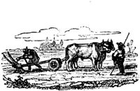 EAC007Q.JPG