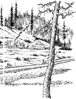 SCG027A.JPG
