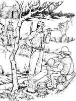SCG023A.JPG