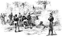 OPT029D.JPG