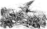 OPT029A.JPG