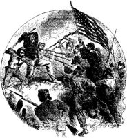 OPT028A.JPG