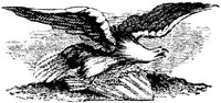 OPT027B.JPG