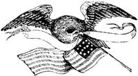 OPT027A.JPG