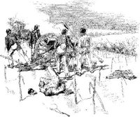 OPT020A.JPG
