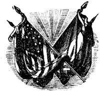 OPT019D.JPG