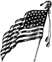 OPT015C.JPG