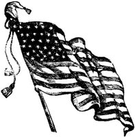 OPT014I.JPG