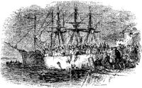 OPT005G.JPG
