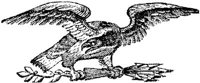 EAA062E.JPG