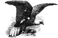 EAA059A.JPG