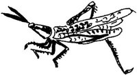 TKR041C.JPG