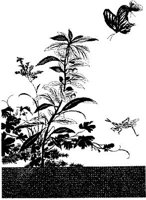 TKR041A.JPG